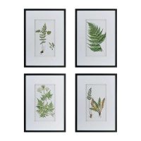 BOTANICAL-FERN-WALL-ART-1