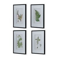 BOTANICAL-FERN-WALL-ART-2