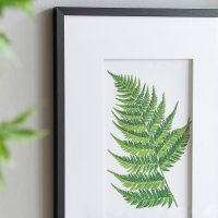 BOTANICAL-FERN-WALL-ART-5