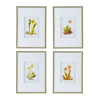 Botanical Flower Print set 4