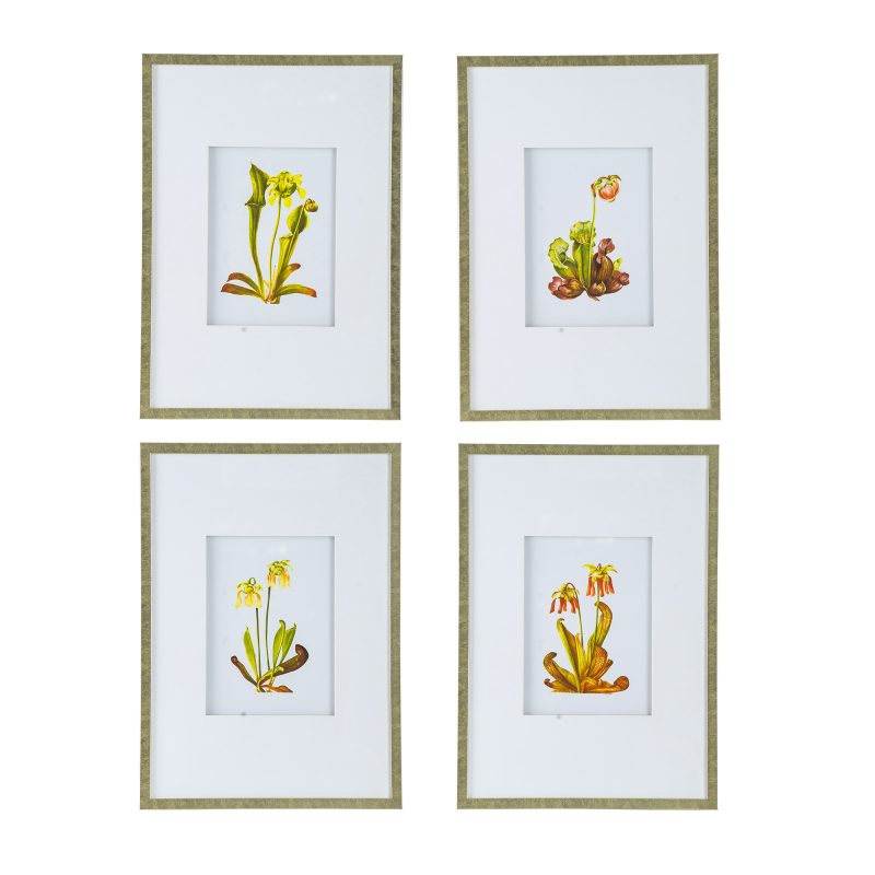 Botanical Flower Print set 4