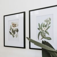 Botanical Flower Wall Art HF_PPP_CLR-37 2