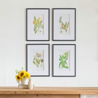 Wall Art Botanical Flower set of 4