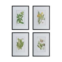 EV-44590-WALL-ART-BOTANICAL-FLOWER-2