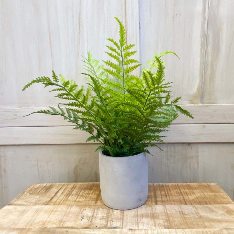 green fern in cement pot - artificial plant