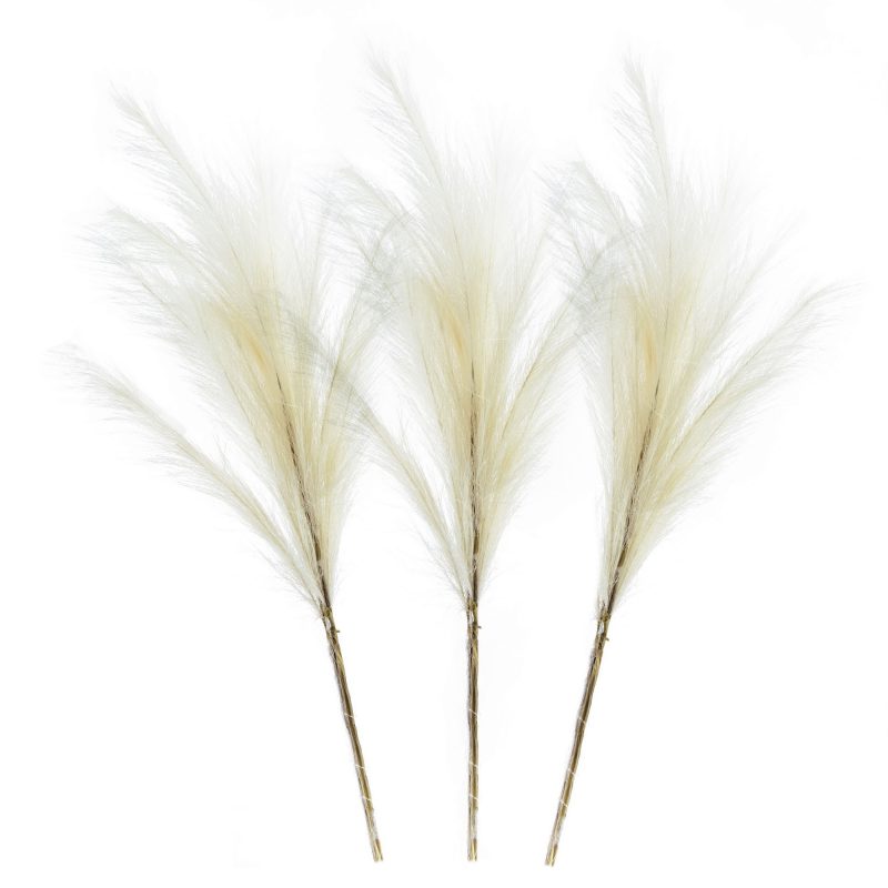 Pampas Grass A EV-SA20013