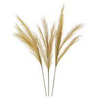 Pampas Grass B EV-SA20013-DKBR-AB