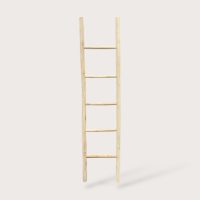 Teak Ladder IMG1