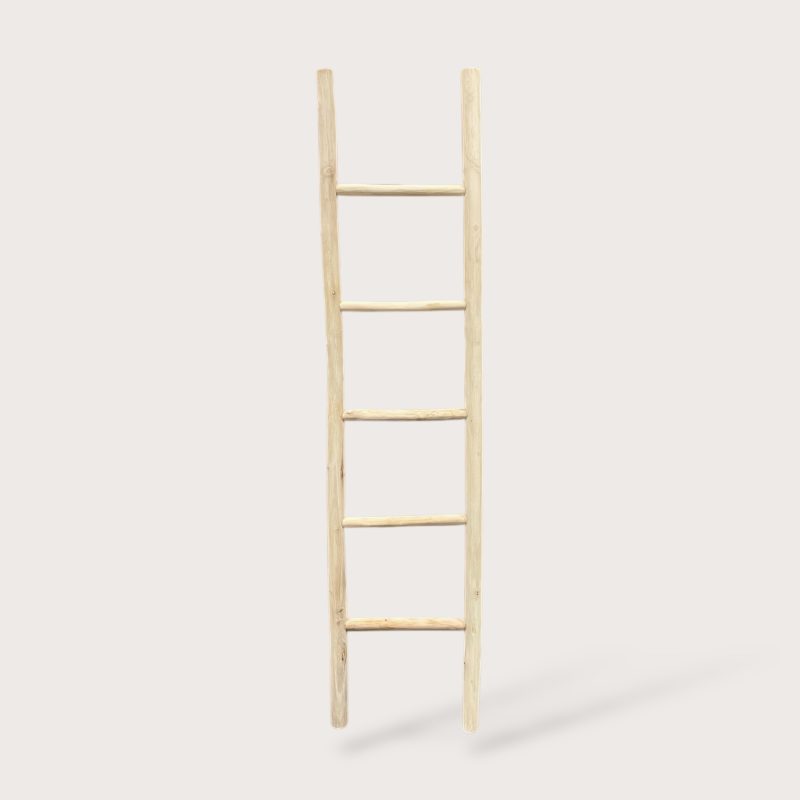 Teak Ladder IMG1